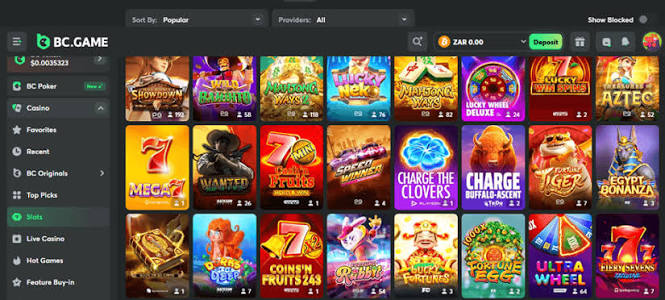 Comprehensive BC App Review Features, Usability, and Security