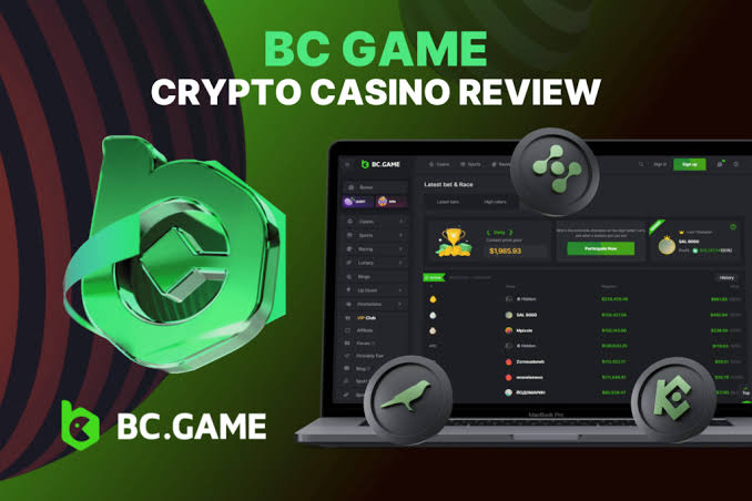 Comprehensive BC App Review Features, Usability, and Security